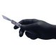 Mănuși nitril negre easyCARE, nepudrate, nesterile, mărimea L – 100 bucăți/cutie